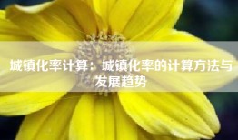 城镇化率计算：城镇化率的计算方法与发展趋势