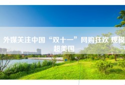外媒关注中国“双十一”网购狂欢 规模超美国