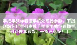 手把手教你看懂手机处理器参数，干货送给你！手机参数「手把手教你看懂手机处理器参数，干货送给你！」