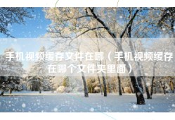 手机视频缓存文件在哪（手机视频缓存在哪个文件夹里面）