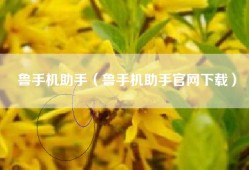 鲁手机助手（鲁手机助手官网下载）