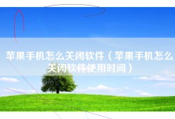 苹果手机怎么关闭软件（苹果手机怎么关闭软件使用时间）
