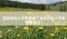 进击的巨人手机壁纸（进击的巨人手机壁纸黑白）