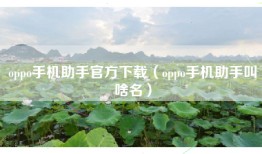 oppo手机助手官方下载（oppo手机助手叫啥名）