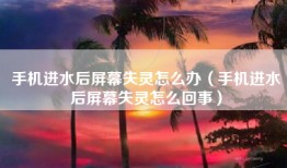 手机进水后屏幕失灵怎么办（手机进水后屏幕失灵怎么回事）