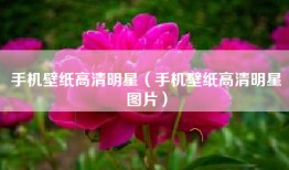 手机壁纸高清明星（手机壁纸高清明星图片）