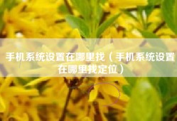 手机系统设置在哪里找（手机系统设置在哪里找定位）