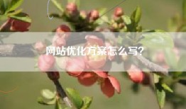 网站优化方案怎么写？