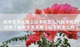 高中生天天晚上玩手机怎么办玩手机的坏处「高中生天天晚上玩手机怎么办」