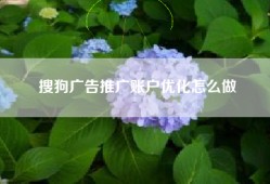 搜狗广告推广账户优化怎么做