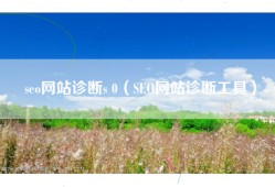 seo网站诊断s 0（SEO网站诊断工具）