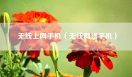 无线上网手机（无线网络手机）