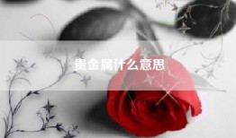 贵金属什么意思