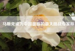 马斯克成为中国面临的最大挑战专家称