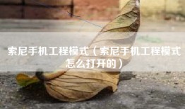 索尼手机工程模式（索尼手机工程模式怎么打开的）