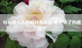 句句深入人心的经典说说 看完哭了伤感短句
