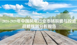 2024-2029年中国风电行业市场前瞻与投资战略规划分析报告