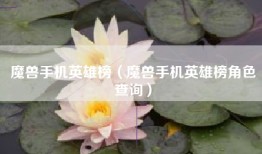 魔兽手机英雄榜（魔兽手机英雄榜角色查询）