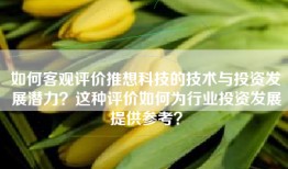 如何客观评价推想科技的技术与投资发展潜力？这种评价如何为行业投资发展提供参考？