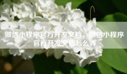 微信小程序官方开发文档，微信小程序官方开发文档怎么弄