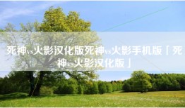 死神vs火影汉化版死神vs火影手机版「死神vs火影汉化版」