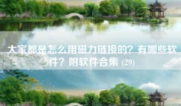 大家都是怎么用磁力链接的？有哪些软件？附软件合集 (29)