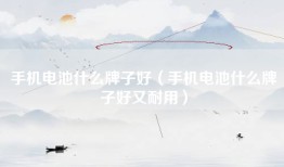 手机电池什么牌子好（手机电池什么牌子好又耐用）