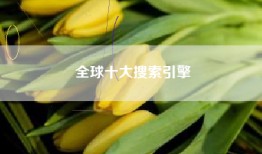 全球十大搜索引擎