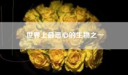 世界上最恶心的生物之一
