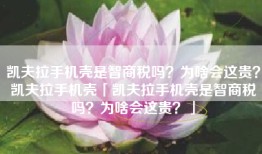 凯夫拉手机壳是智商税吗？为啥会这贵？凯夫拉手机壳「凯夫拉手机壳是智商税吗？为啥会这贵？」