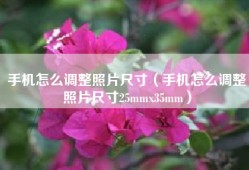 手机怎么调整照片尺寸（手机怎么调整照片尺寸25mmx35mm）