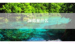 深指是什么