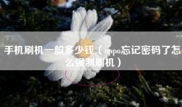 手机刷机一般多少钱（oppo忘记密码了怎么强制刷机）