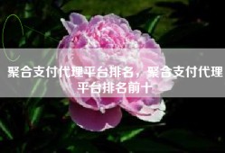 聚合支付代理平台排名，聚合支付代理平台排名前十