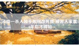 云南一杀人凶手改死缓 被害人家属10年后才得知