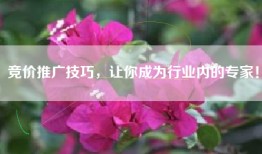 竞价推广技巧，让你成为行业内的专家！