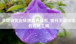 关键词优化快速提升排名_提升关键词排名优化工具