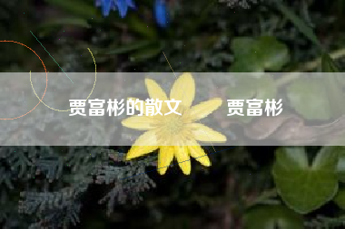 贾富彬的散文 贾富彬 贾富彬的散文 贾富彬