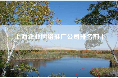 上海企业网络推广公司排名前十