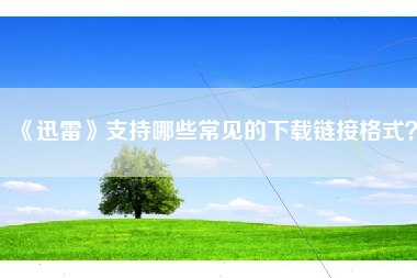 《迅雷》支持哪些常见的下载链接格式？