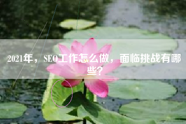 2021年，SEO工作怎么做，面临挑战有哪些？