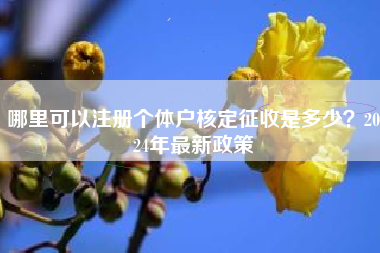 哪里可以注册个体户核定征收是多少？2024年最新政策