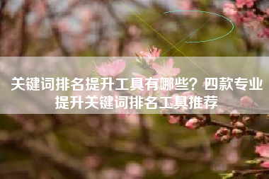 关键词排名提升工具有哪些？四款专业提升关键词排名工具推荐