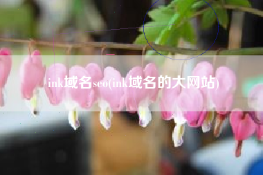ink域名seo(ink域名的大网站)