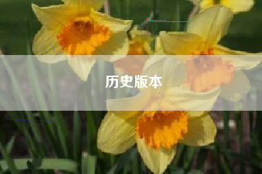 历史版本