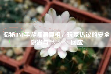 揭秘DNF手游漏洞真相，玩家热议的安全隐患与 ＊＊＊ 回应