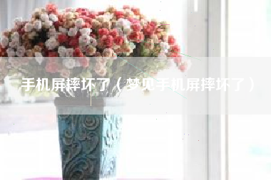 手机屏摔坏了（梦见手机屏摔坏了）