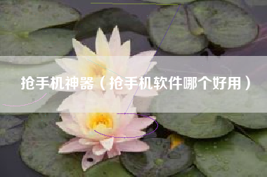 抢手机神器（抢手机软件哪个好用）
