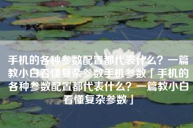 手机的各种参数配置都代表什么？一篇教小白看懂复杂参数手机参数「手机的各种参数配置都代表什么？一篇教小白看懂复杂参数」
