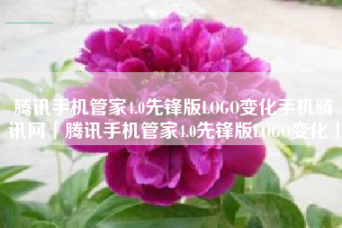 腾讯手机管家4.0先锋版LOGO变化手机腾讯网「腾讯手机管家4.0先锋版LOGO变化」
